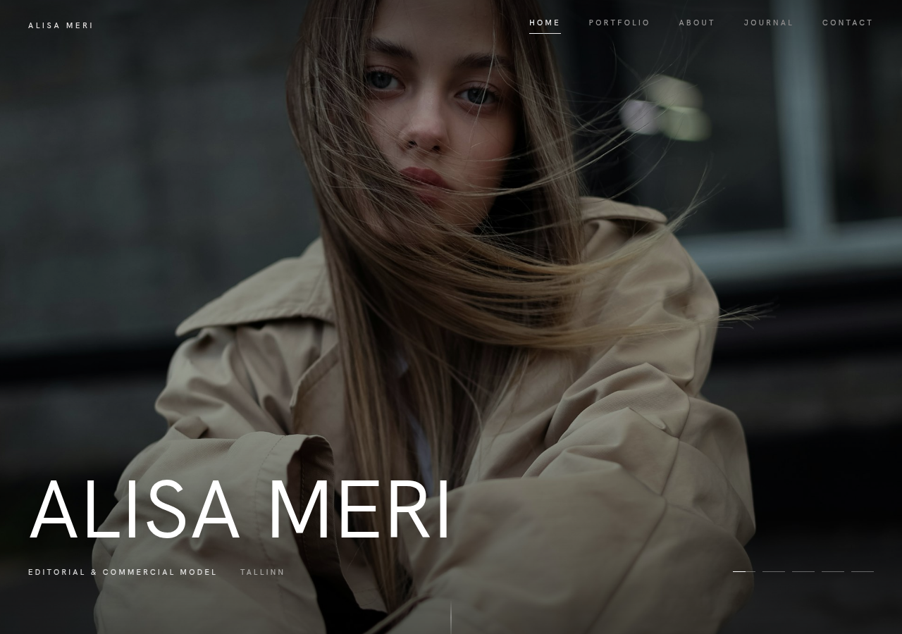 Preview of the Meridian template